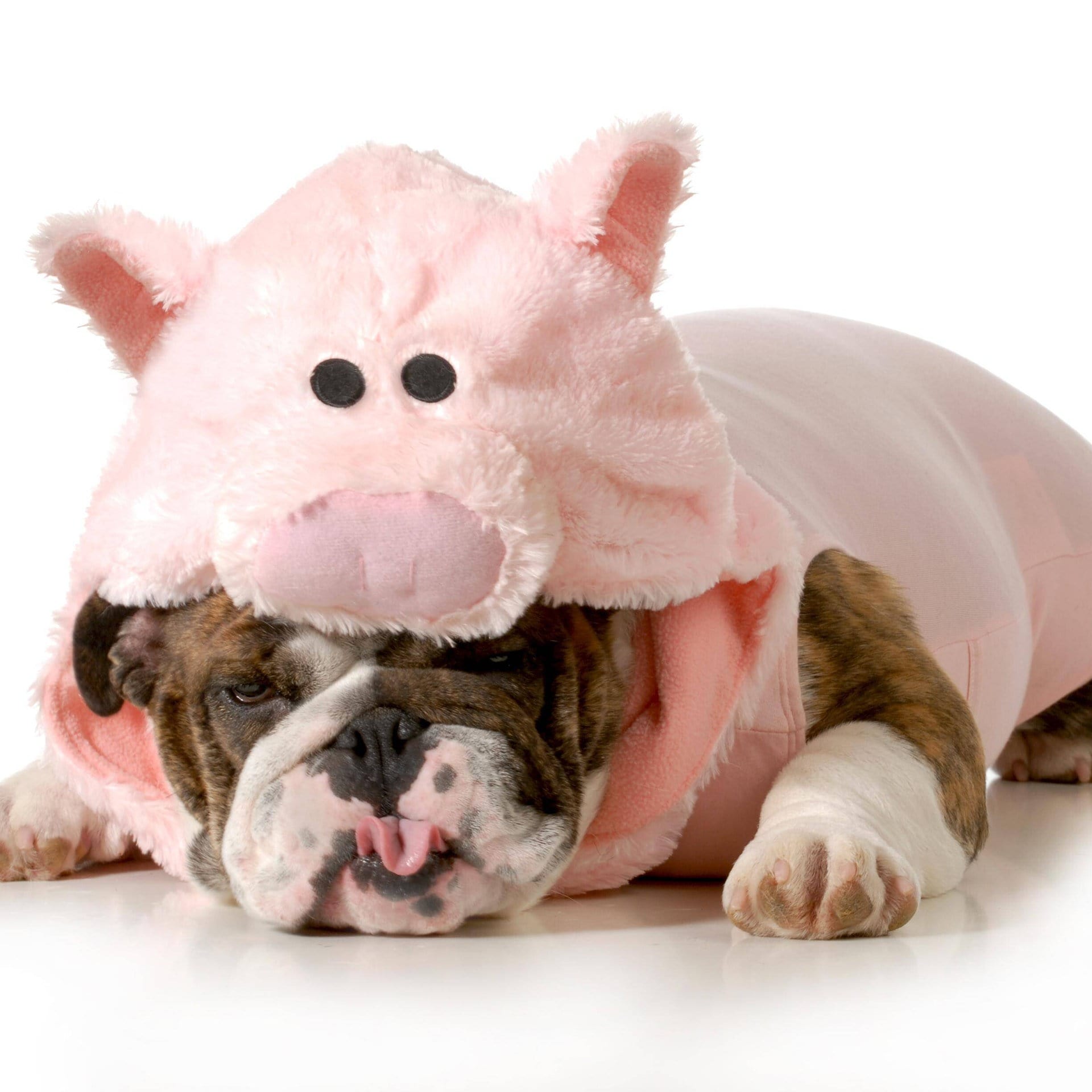 Woher kommt "den inneren Schweinehund überwinden"? episode artwork