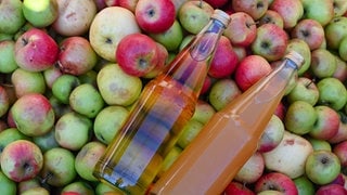 In einer Mosterei liegen zwei Flaschen mit Apfelsaft auf einem Haufen Äpfeln. In der Region Bodensee-Oberschwaben beginnt die Mostsaison diesmal früher als üblich.