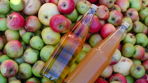 In einer Mosterei liegen zwei Flaschen mit Apfelsaft auf einem Haufen Äpfeln. In der Region Bodensee-Oberschwaben beginnt die Mostsaison diesmal früher als üblich.