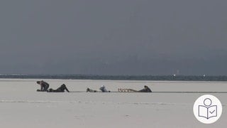 Ein Teil vom Bodensee ist zugefroren. Ein Schlittschuh·fahrer ist im Eis eingebrochen. Mehrere Menschen helfen ihm mit Schlitten aus dem Wasser. Rechts das SWR Logo für Leichte Sprache.