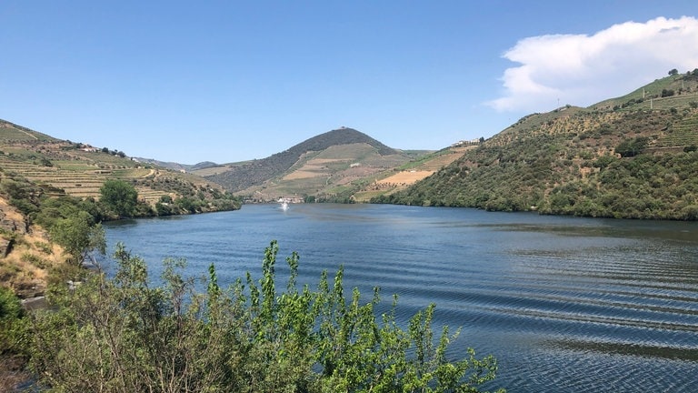 Der Douro vom Dampfzugfenster aus. 