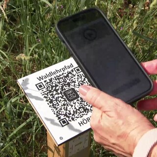QR-Code im Wald