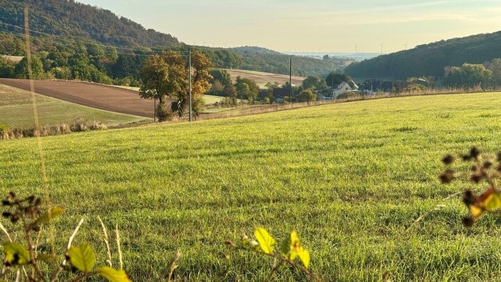 Blick auf den Hahnweilerhof am Donnersberg.