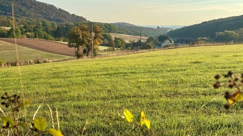 Blick auf den Hahnweilerhof am Donnersberg.