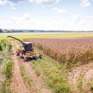 Gloria de Dourados, Mato Grosso do Sul, Brazil: Aerial view of a combine harvester in a cornfield
