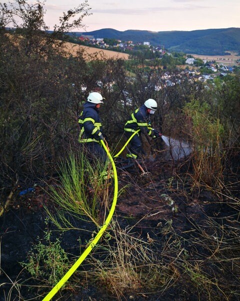 Zwei Feuerwehrleute löschen einen Flächenbrand in Monzingen im Kreis Bad Kreuznach