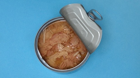 Thunfisch in der Dose