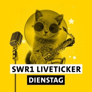 SWR1 Hitparaden-Kätzchen mit Mikrofon, Saxophon, Sonnebrille und dem Schriftzug "SWR1 Liveticker Dienstag""