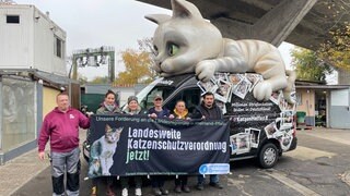 Das Cat-Mobil des Landesverbandes Rheinland-Pfalz des Deutschen Tierschutzverbandes macht auf das Leid von Straßenkatzen aufmerksam. 