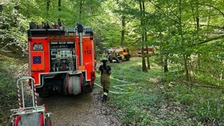 Feuerfahrzeuge im Wald. Die Stuttgarter Feuerwehr musste am Samstag einen Waldbrand löschen.