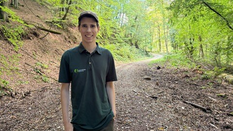 Verschmutzung im Trierer Wald