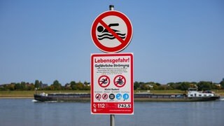 Schilder, die auf die Gefahren beim Schwimmen im Rhein und auf das ausgesprochene Badeverbot hinweisen, an einem Schildermast am Rheinufer.