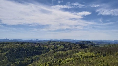Blick auf das Biosphärenreservat Pfälzerwald bei Merzalben.