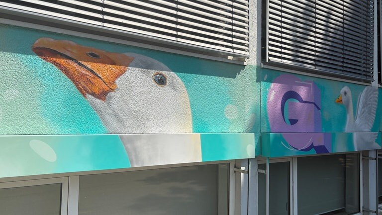 Ein Graffiti an einer Ulmer Schule. Einen Meter breit und 50 Meter lang. Weiße Gänse auf hellblauem Hintergrund.
