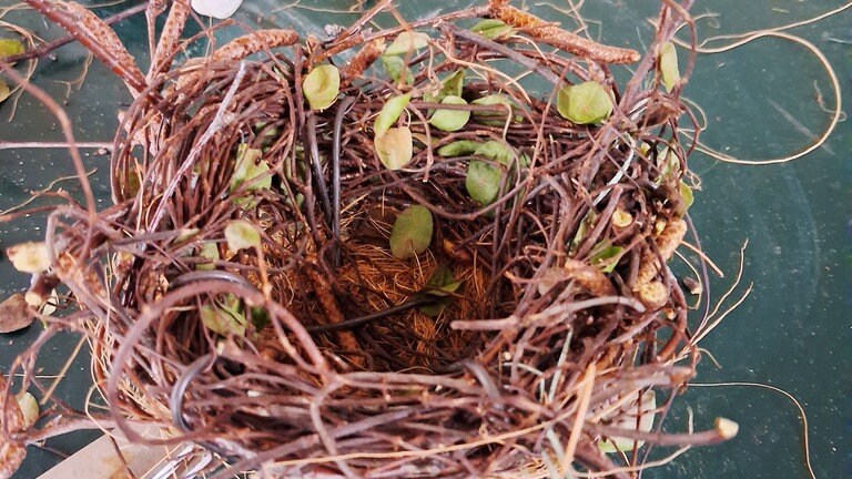 Je mehr Vielfalt bei den Naturmaterialien gewählt werden, desto realer wirkt das Nest. 