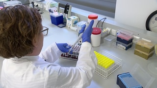 Eine Frau arbeitet in einem Labor mit einer Pipette an Blutproben von Rindern. 