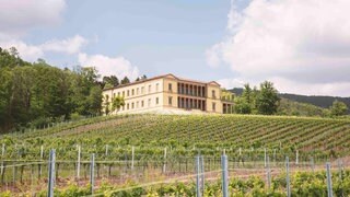 So sieht die Villa Ludwigshöhe in Edenkoben nach der Sanierung aus. 