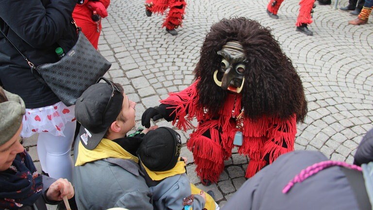 Impressionen vom Landschaftstreffen der Vereinigung Schwäbisch-alemannischer Narrenzünfte in Lindau.