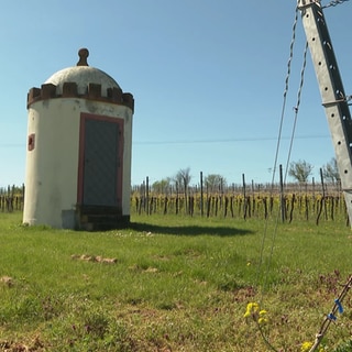 Kleines Winzerhäuschen am Weinberg