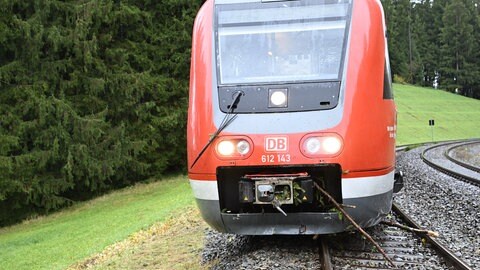 Ein entgleister Zug steht nach der Kollision mit einer Baumkrone eines großen Baums im Landkreis Lindau neben den Schienen. Bei dem Unglück gab es keine Verletzten.