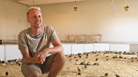 Michael Volk sitzt einem Stall. Im Hintergrund sieht man unscharf mehrere Wachteln auf dem Boden.
