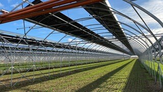 Über den Gemüsefeldern in Offenbach an der Queich steht ein Gestell mit Solarpanelen