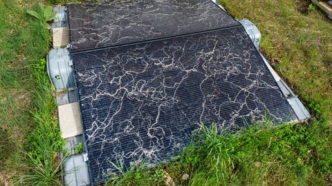 Saharastaub auf einem Solarmodul. Wissenschaft und Forschung ist klar: Das kostet Betreuber viel Geld.