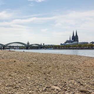 Blick vom Deutzer Rheinufer Richtung Kölner Dom auf das durch historisches Niedrigwasser freiliegende Flussbett des Rheins. 