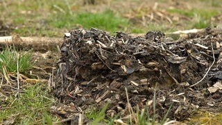 Kiloweise Hundekot auf landwirtschaftlichem Acker entsorgt