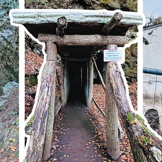 Bildmontage: Gruselige Herbstwanderungen in der Eifel