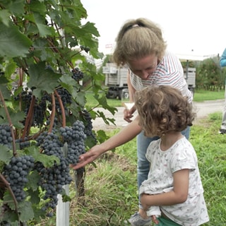 Eine Mutter steht mit ihrer Tochter in den Weinbergen und schauen sich Reben an.