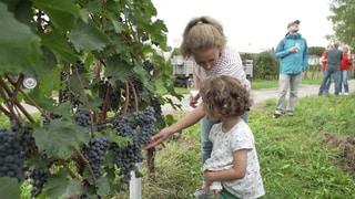 Eine Mutter steht mit ihrer Tochter in den Weinbergen und schauen sich Reben an.