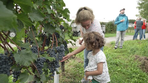 Eine Mutter steht mit ihrer Tochter in den Weinbergen und schauen sich Reben an.