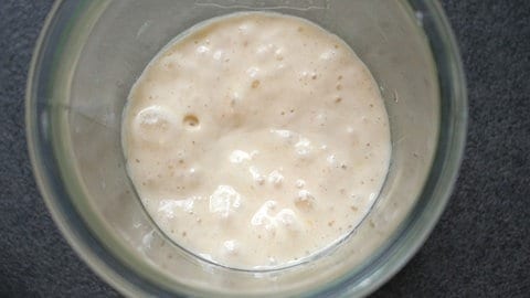 Donauwellen-Brot