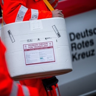 Ein Rettungssanitäter trägt einen Styropor-Box für Organe die von einem Spender oder einer Spenderin zum Empfänger oder der Empfängerin transportiert wird.