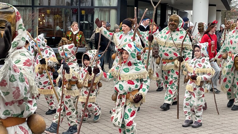 Der Große Narrensprung in Friedrichshafen 2026. Fastnacht am Bodensee auch bei Regen.