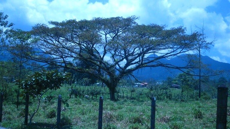 El Tren a la Tica - Bahnabenteuer in Costa Rica