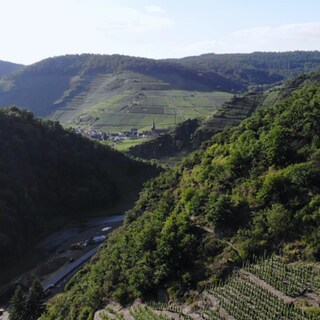 Blick auf das Ahrtal vom Rotweinwanderweg