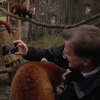 Zoodirektor Matthias Reinschmidt macht mit seinem Handy ein Foto von sich und einem roten Panda.