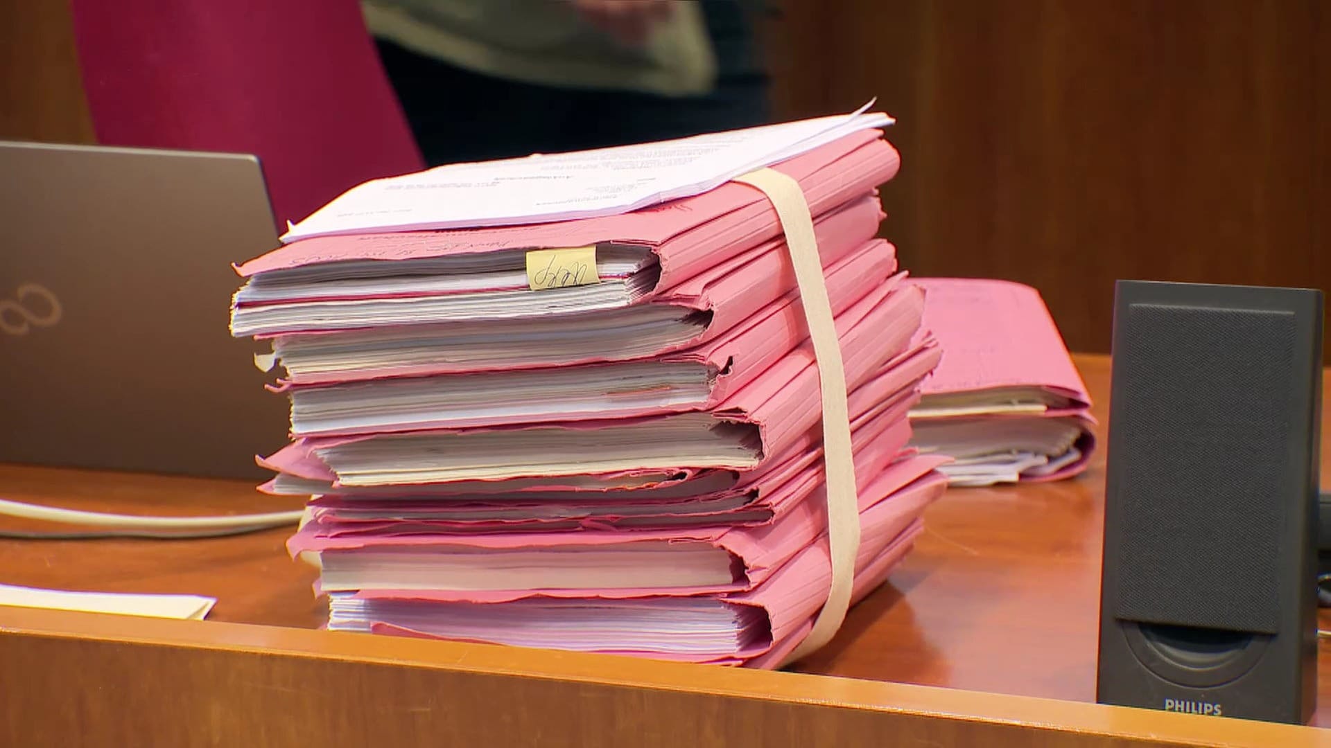 Prozess um in RLP gefundene Frauenleiche eröffnet