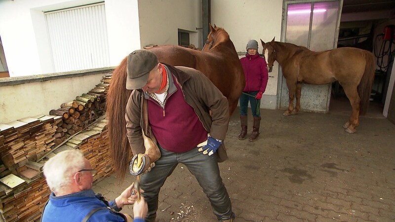 Hierzuland Bombogen Hufschmiede