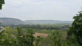 Rauch über dem Moseltal bei Thörnich.