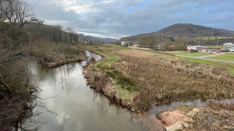 In Salmtal wurde an der Salm bereits ein Auffangbecken angelegt, das Gehölz rund um den Fluss wurde entfernt. 
