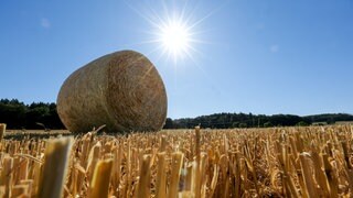 Ein Rundballen liegt auf einem abgeernteten Getreidefeld.