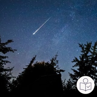 Eine Stern·schnuppe am Himmel. Im August sieht man wieder die Perseiden. Rechts das SWR Logo für Leichte Sprache.