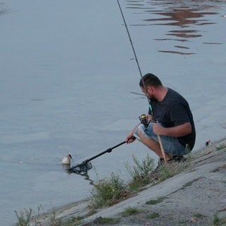 Ein Sportangler fischt im Bodensee vor Konstanz. Das Niedrigwasser macht Berufsfischern und Anglern Probleme.
