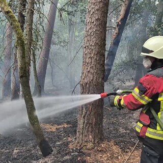 Feuerwehrmann löscht Waldbrand