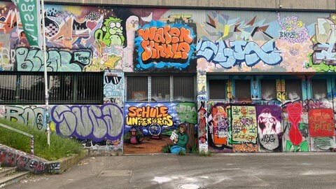Wasenschule