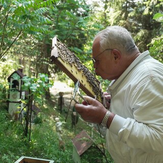 Ein Imker hält einen Rahmen voller Bienen in der Hand. Er täuscht einen Kuss in Richtung Bienen an.