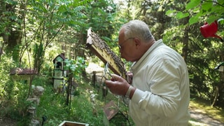 Ein Imker hält einen Rahmen voller Bienen in der Hand. Er täuscht einen Kuss in Richtung Bienen an.